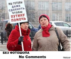 Эта цитата сделала мой день!