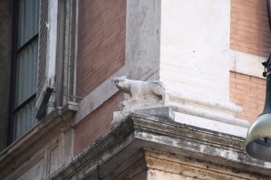 Кот на особняке Берлускони в Риме на улице Котов