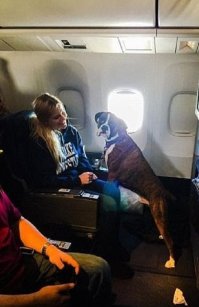 Кто огромный, а кто миниатюрный? Чета я потерялся