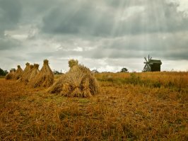 Несколько раз были в Кижи - всё понравилось, но дороговато.