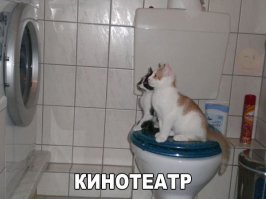 Очередная порция картинок с подписями