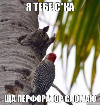 а есть еще сосед-сверло)) и очень уж любит по выходным.как говорится:есть предположение,что в выходные стены мягче)))