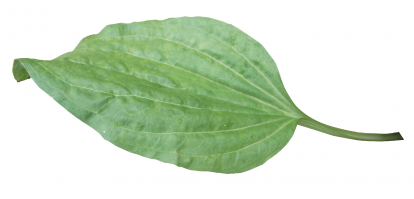 надо плюнуть и приклеить!