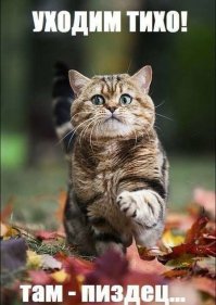 Необычные информационные таблички с калиток, ворот и заборов