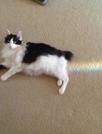 Ой, что это? А-а-а, слава богу, показалось