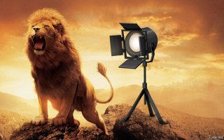 Сдается мне что эта картинка больше подходит для данного повествования.