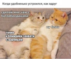 Очередная порция картинок с подписями