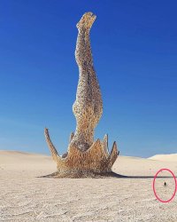 Интересно, кого он здесь нарисовал?