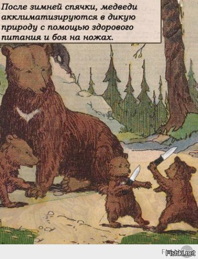 Медведь забрал два ружья у охотника