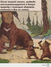 Медведь забрал два ружья у охотника