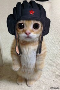 Профессиональная переподготовка и повышение квалификации офицеров ВС