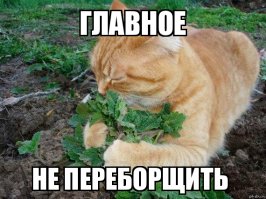 Фотографии, доказывающие: всего должно быть в меру