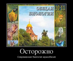 И даже интервью с порнозвездой. Всем бы такие учебники!