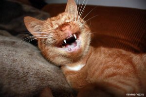 Вечерний гость попросился переночевать в доме: парень даже не думал, к каким последствиям это приведет