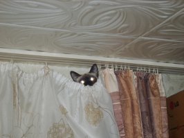 Во, моя меконгская зараза