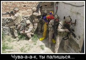 27 котов, которые действительно умеют маскироваться