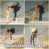Ночью во время грозы бродячий котёнок пришел к одной паре за помощью