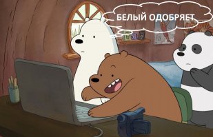 Фотоподборка за 28.11.2017