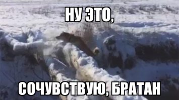 Тем временем в Германии: неудачливый вор падает с крыши на кафельный пол супермаркета 