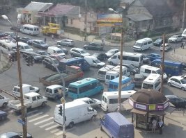 вот тоже стадо оленей