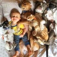 главное - не перепутать, кого чем кормить.