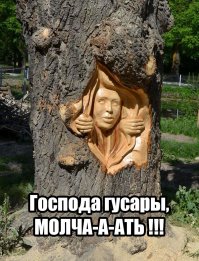 Румынский художник творит деревянные чудеса бензопилой