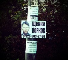 Том Йорк негодовать должен