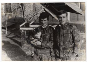 Вот такой на довольствии стоял весил килограмм 5- 6 при разделке мяса обрезки клянчил молча  ,мяукать было в падлу ему))) Звали Мартыном