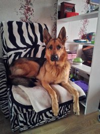 Пытаюсь, но не всегда с колором угадываю:-)