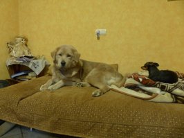 У нас так же.