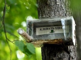 Очередная порция картинок с подписями