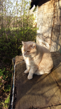 Как у моих родителей.