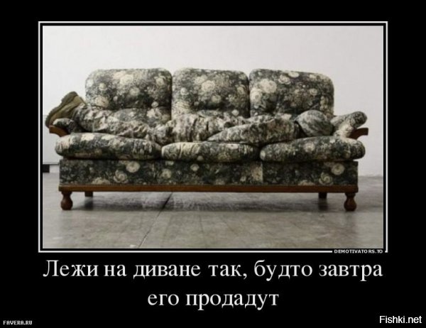 27 котов, которые действительно умеют маскироваться