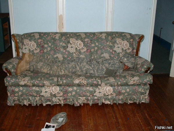 27 котов, которые действительно умеют маскироваться