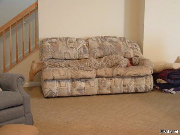 27 котов, которые действительно умеют маскироваться