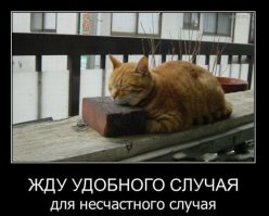 Да не вопрос, сделаем мир чище.