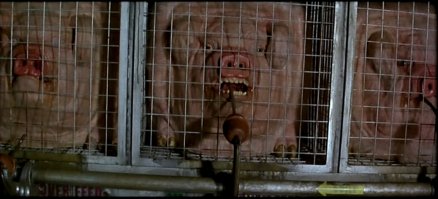 Фотоподборка за 28.11.2017