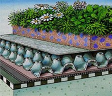 Обычно трава, но ее обслуживание достаточно трудоемко и дорого!
Лучше седум.
Сейчас появилось много "модернизированных" систем российскими компаниями - итог печален! Растения гибнут после первого сезона, а то и раньше. Правильная система подразумевает не дешевые материалы.