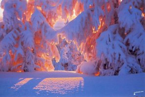 Фотоподборка за 29.11.2017