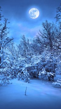 Фотоподборка за 29.11.2017