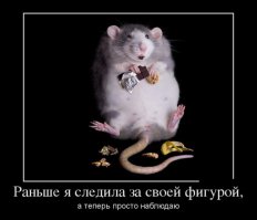 Смешные комментарии и высказывания из социальных сетей