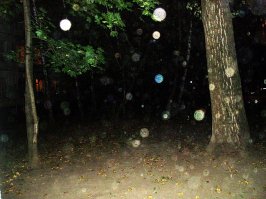 Этих НЛО в лесу как грязи.