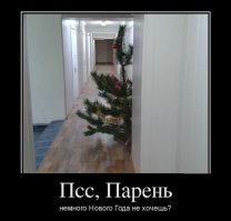 Очередная порция картинок с подписями