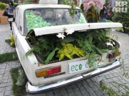 Выбрасываете старые вёдра? Теперь не будете. Из них можно сделать такое... Фантастика!