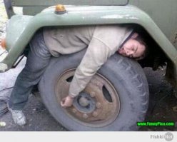 Живность может прятаться не только под капотом!)