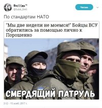 Драка русского с итальянцем в Греции попала на видео