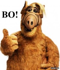 Сообразительный хаски нашёл способ сбежать из своего вольера