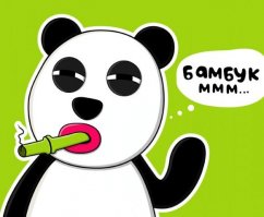 Золушки XX века: 12 простых людей, сыгравших свадьбы с особами королевской крови