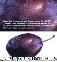 а вдруг у них там просто шкурка от сливы прилипла к телескопу?!