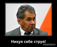 Они не смеются в цирке, им хватило "клоунов" в армии